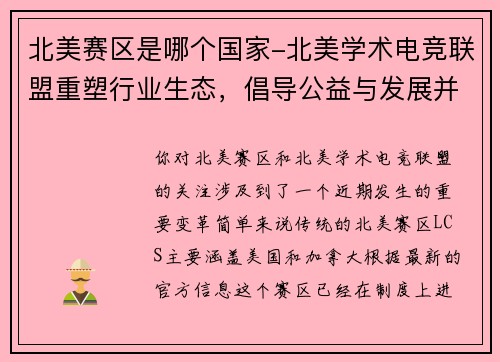 北美赛区是哪个国家-北美学术电竞联盟重塑行业生态，倡导公益与发展并重