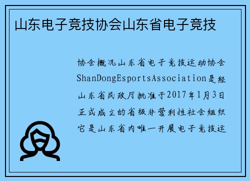山东电子竞技协会山东省电子竞技